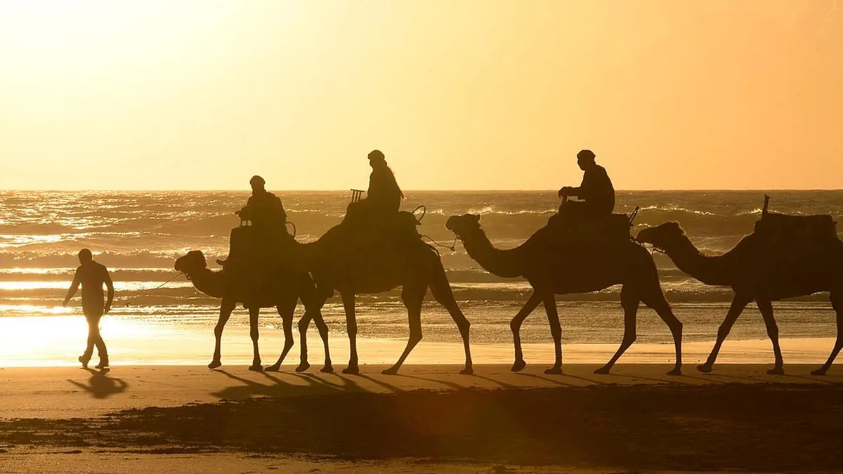 Ando Travel – Balade en dromadaire